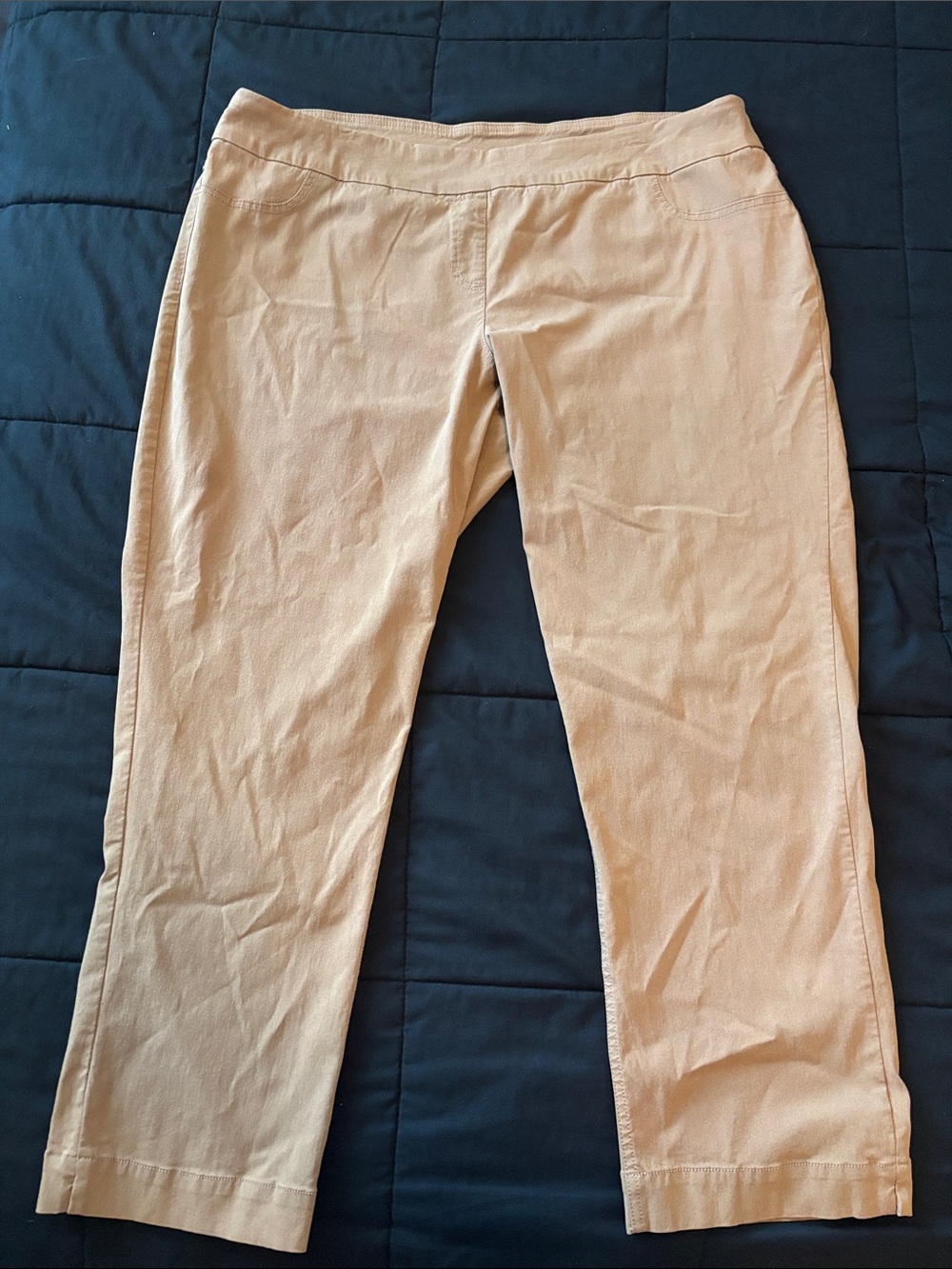 Slim-Sation by Multiples Beige/ light brown Women's Pull-On Elastic Pants 20w